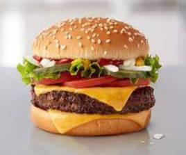 1/2 Pounder Burger